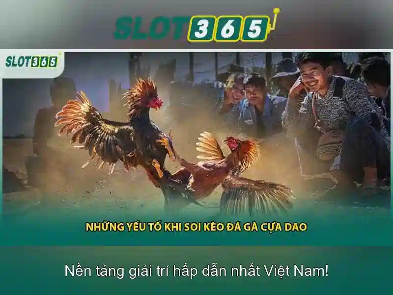 Slot365 - Trải nghiệm chơi slots trực tuyến hàng đầu