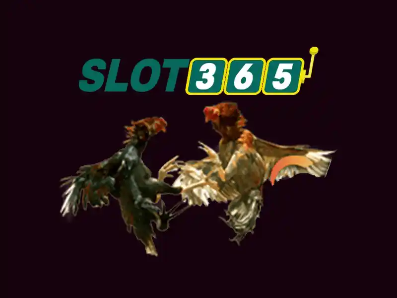 Lợi thế khi chơi Slot365