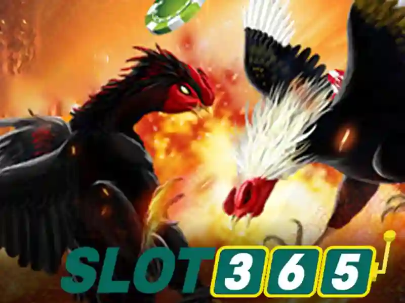 Sản phẩm và dịch vụ cốt lõi: ứng dụng thực tế của asia slot365
