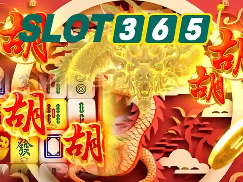 Slot365 là gì và lý do nên chọn nền tảng cược trực tuyến này