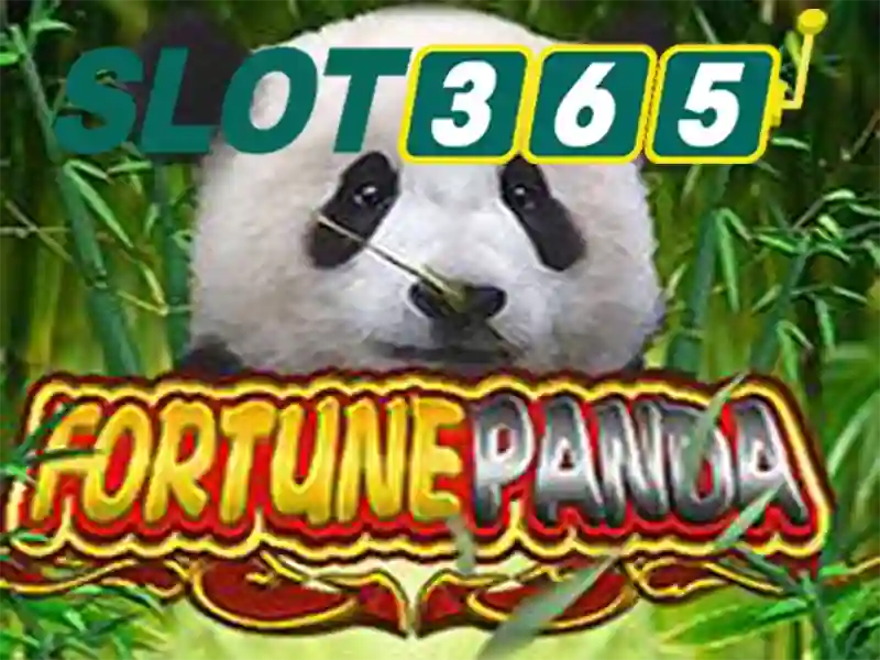 Lịch sử và sứ mệnh Slot365