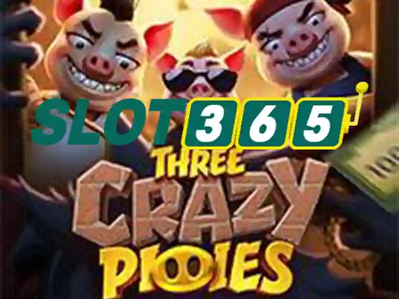 Slot365: Cổng chơi slot trực tuyến tại Việt Nam
