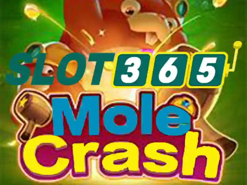 app slot365 – Nền tảng cược và giải trí an toàn